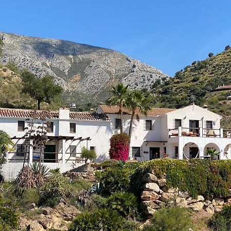 Cortijo Las Palmeras El Chorro アロラ エクステリア 写真