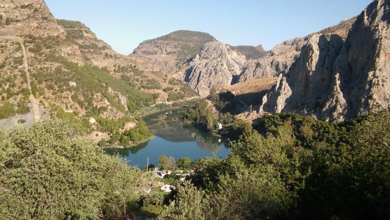 Cortijo Las Palmeras El Chorro アロラ エクステリア 写真
