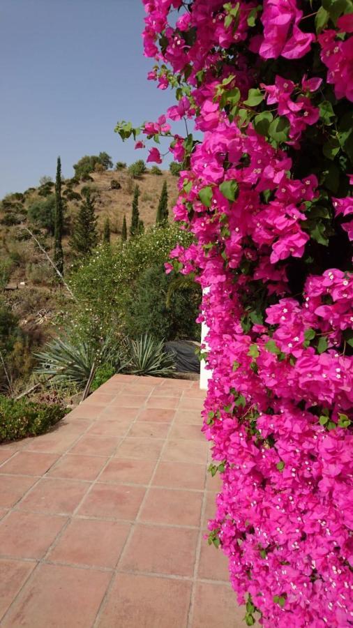 Cortijo Las Palmeras El Chorro アロラ エクステリア 写真
