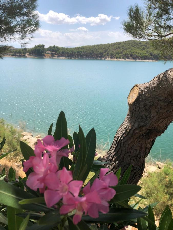 Cortijo Las Palmeras El Chorro アロラ エクステリア 写真