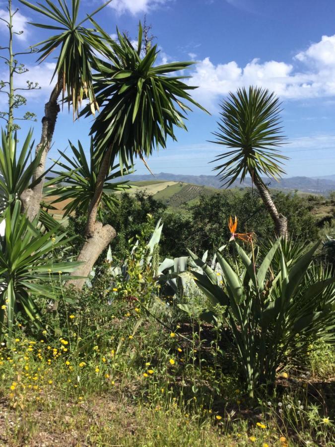 Cortijo Las Palmeras El Chorro アロラ エクステリア 写真